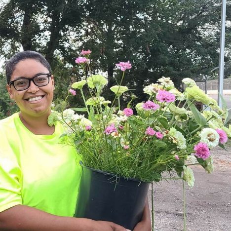What is a food forest?