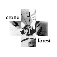 crone + forest flowers